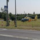 Fotka nr 5 z 7