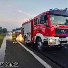 Fotka nr 1 z 2