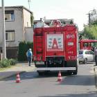 Fotka nr 2 z 3