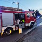 Fotka nr 2 z 5