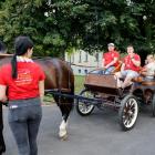 zdjęcie nr 10