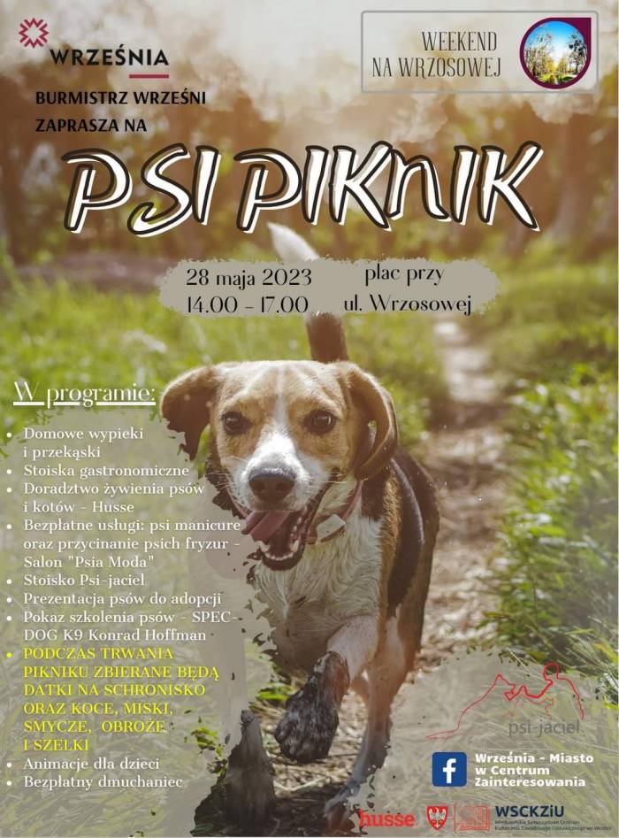 Psi Piknik we Wrześni 2023