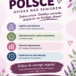 zdjęcie nr 