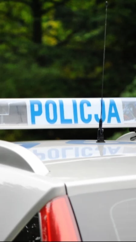 Niewybuchy w rowie pod Wrześnią. Pociski, granat oraz amunicja 