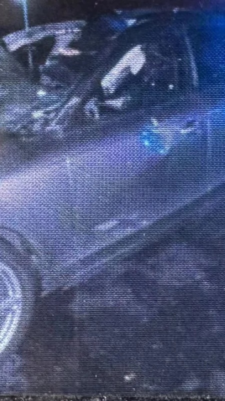 Groźny wypadek na S5! Osobówka zderzyła się z łosiem