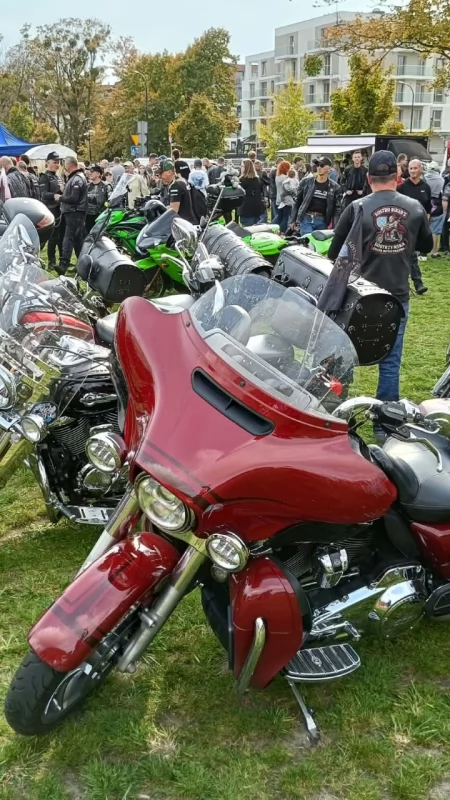 Wielki piknik motocyklowy przy Wrzosowej! (Galeria)