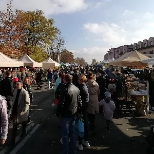 Zdjęcie: Września Gospodarka nowarzesnia