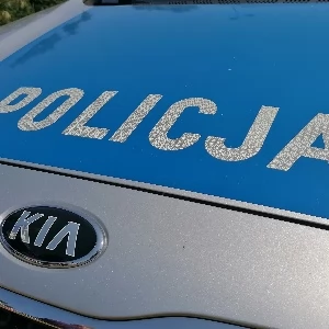 Zdjęcie: Września Kronika policyjna Kronika policji Wrześni sygnale nowarzesnia