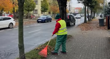 Jesienne porządki 