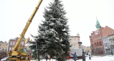 Choinka stanęła już na rynku 