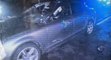 Groźny wypadek na S5! Osobówka zderzyła się z łosiem