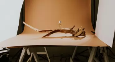 Drzewne nuty i woody-ambers — anatomia trendu
