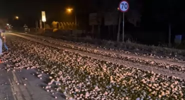 Ziemniaki zablokowały drogę krajową w Obłaczkowie! (Zdjęcia)